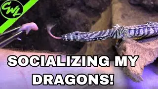 Hanging out with LACE MONITORS!!!