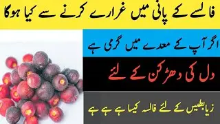 Falsa Fruit Benefits and Disadvantages|| Falsa Ke Fayde Aur Nuksan ||How To Use False In Urdu