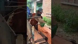 membuat papan kayu mahoni ‼️ gergaji bulat serkel keliling