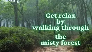 Get relax by walking through the misty forest  | Relaxing music |Naturee Relaxyi