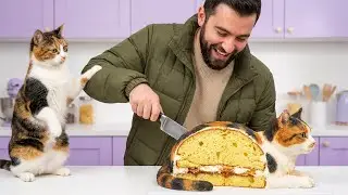 Calico Cat vs Cake! Hilarious Live Reaction 🐱 #Shorts #Viral #FunnyCat
