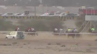 ج 19 الجواد غلا سلمان / اسطبل البرازي
