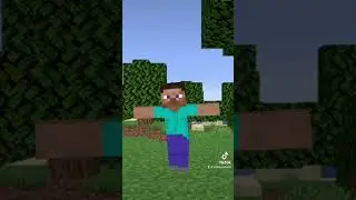Random #minecraft #steve #viral #gaming #tiktok #funny #original