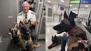 North Carolina SBI sends K-9 teams to help Texas flood recovery efforts