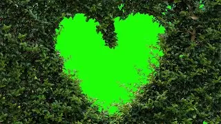 Green screen Heart effects | Love animations | Romantic chroma key effects