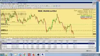Настройки робота WSB желтый 3.2.1 для начинающих. Что нужно знать?