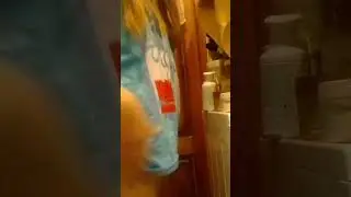Пухляшка)