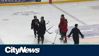Toronto Six looking to make franchise history
