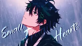 Silas - Small Fragile Hearts [Cover]