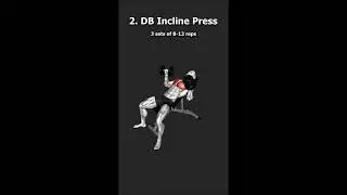 Bro Split Workout Chest And Triceps  #full_body_workout