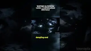 Explore the magical Waitomo Glowworm Caves with me! ✨ #wanderlust #adventure #glowworms#Glowworms