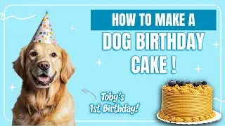 РЕЦЕПТ ТОРТА, ПОДХОДЯЩЕГО ДЛЯ СОБАК 🐶 | ПЕРВЫЙ ДЕНЬ РОЖДЕНИЯ ТОБИ! 🎂 &mdash; Felipe's Creations