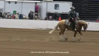 shawn flarida shine colt shine