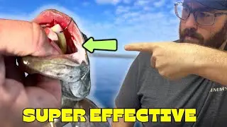 You Wont REGRET This Fishing Lure Modification