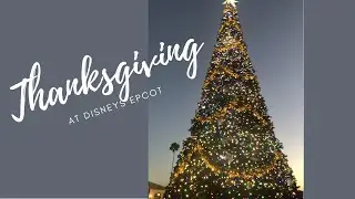 Crowd levels on Thanksgiving Day after eating turkey | Ice Cream at L'Artisan des Glaces