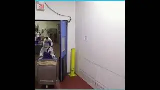 Vegetarian Burger Patty  Factory  #viral #Factory