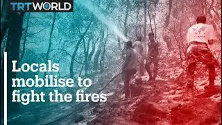 Locals in Turkey's south mobilise to fight the fires