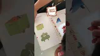 Baby&rsquo;s matching skills