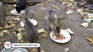 National Cat Herders Day (December 15): Mark Twain's 19 Cats!