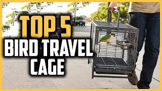 ✅ Top 5 Best Bird Travel Cage of 2024