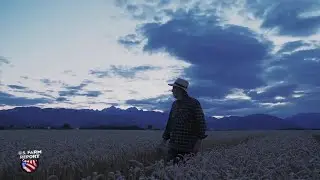 Suicide Awareness Month: Suicide Risk of Farmers