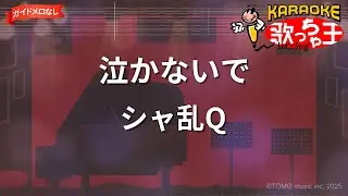 【ガイドなし】泣かないで/シャ乱Q【カラオケ】