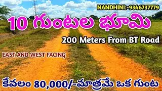 nandini:9346737779||Agriculture land for sale||10 Guntas #youtube #realestate #farming #agriculture