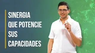 LOIMOS SOCIO ESTRATEGICO