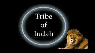 SuperHero (Hebrew Israelite Song)