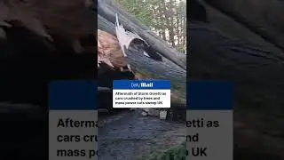Storm Goretti Batters the UK: Widespread Disruption and Weather Warnings