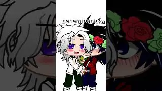 sanemi ou shinobu#shinobu#gacha#tomioka#sanemi#sanegiyyu#gishino