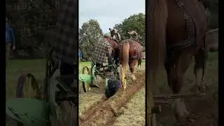 2023 Draft Animal Power Field Days