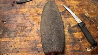 How to tan a beaver tail: Part 3-pickling/degrease