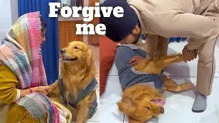PeaNut Ne Neha ke pair per kat liya | The PeaNut's Family