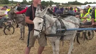 Gisay la Coudre (27) : la course d'ânes du 15 août