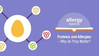 Proteins and Allergies &ndash; Why do they matter? | Allergy Insider