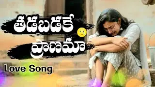 తడబడకే ప్రాణమా  | Love Folk Song | Emotional Telugu Song 2026 | NVPAATA