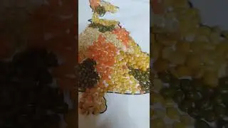India map filled with grains #artandcraft #shorts