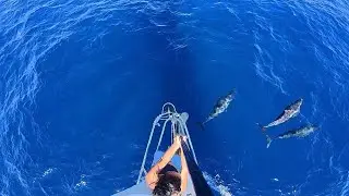 sailing life at sea: dolphins, rain & night watch [ep 06]