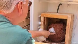 Stingless Bees in South Africa