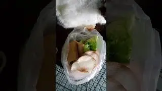Kasih kelinci makan roti 🐰