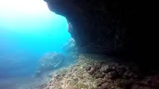Sharks at Gili Biaha with diving CANDIDASA