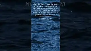 Bible | Numbers 22:23 | When the donkey saw the angel ...