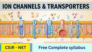 Activation of Ion Channels & Transport Proteins | Aquaporin, CFTR | Membrane Transport Explained