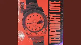 Temporary Love (feat. TWNTY4) (Turtleneck (UK) Remix)