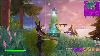 Havoc Pump-Overclocked Pulse Rifle-Ch4-Classic Fortnite Clips
