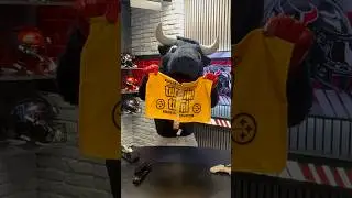 we good now @steelers? #houstontexans #pittsburghsteelers #terribletowel #nfl #mascot