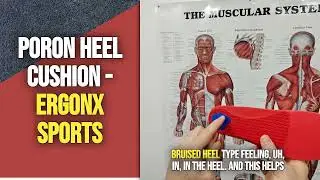 Poron Heel Cushion - Ergonx Sports