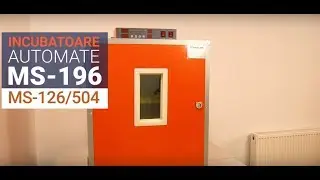 Incubator oua automat MS-196, MS-126 - Internet magazin FlexMag.md