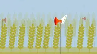 Spornado Pitch Video
